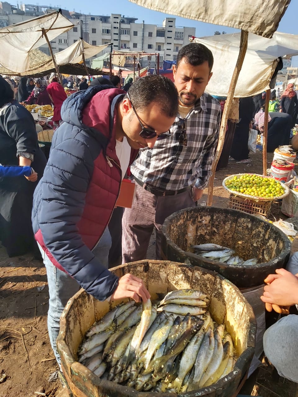 حملة على المنشآت الغذائية بالشرقية 3