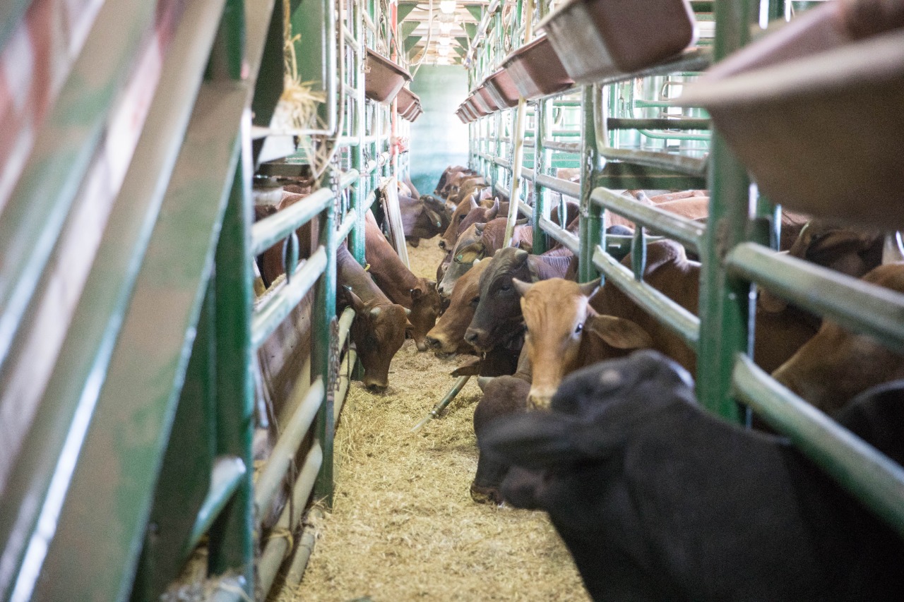 سفينة قادمة من الصومال