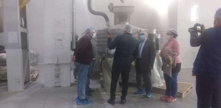 وكيل زراعة الفيوم يتفقد حقول نبات الجوجوبا