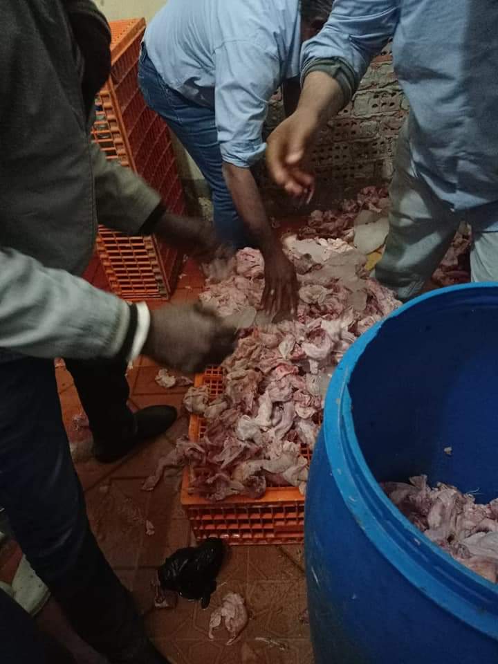 حملة على المنشآت الغذائية بالعاشر من رمضان 10