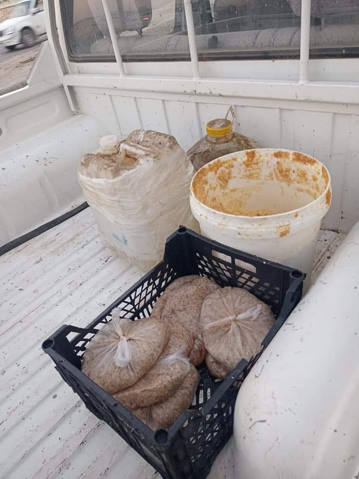 حملة على المنشآت الغذائية بالعاشر من رمضان 9