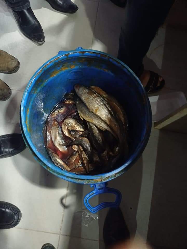 حملة على المنشآت الغذائية بالعاشر من رمضان 7