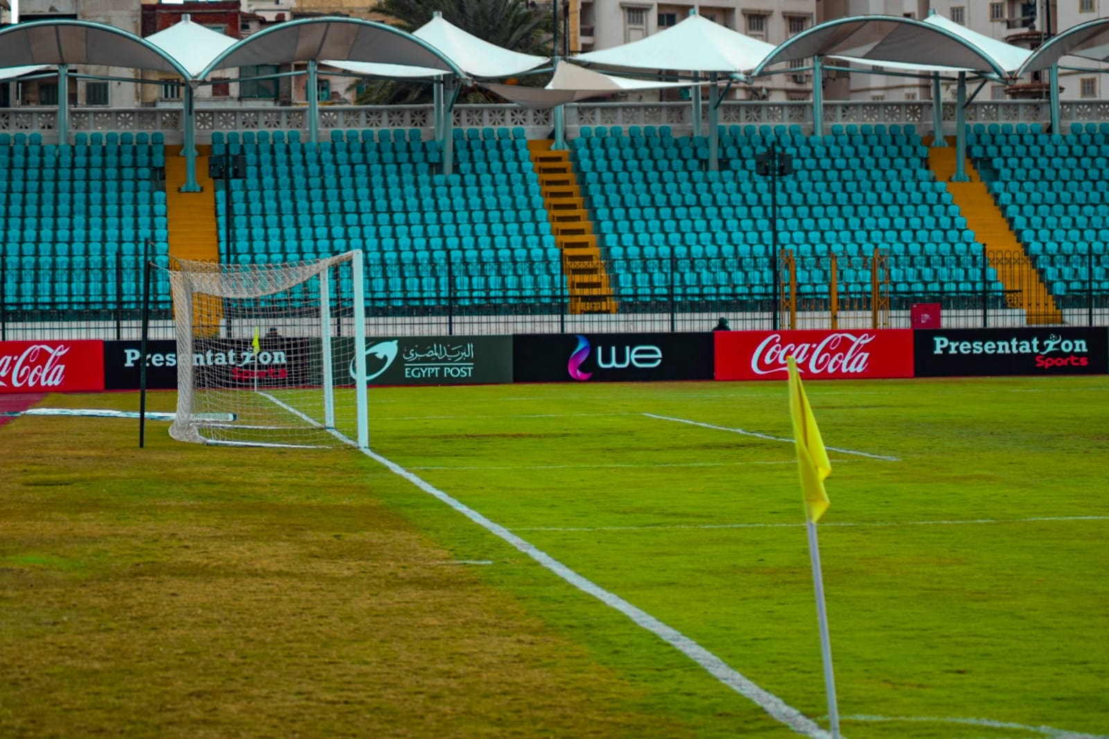 استاد الإسكندرية