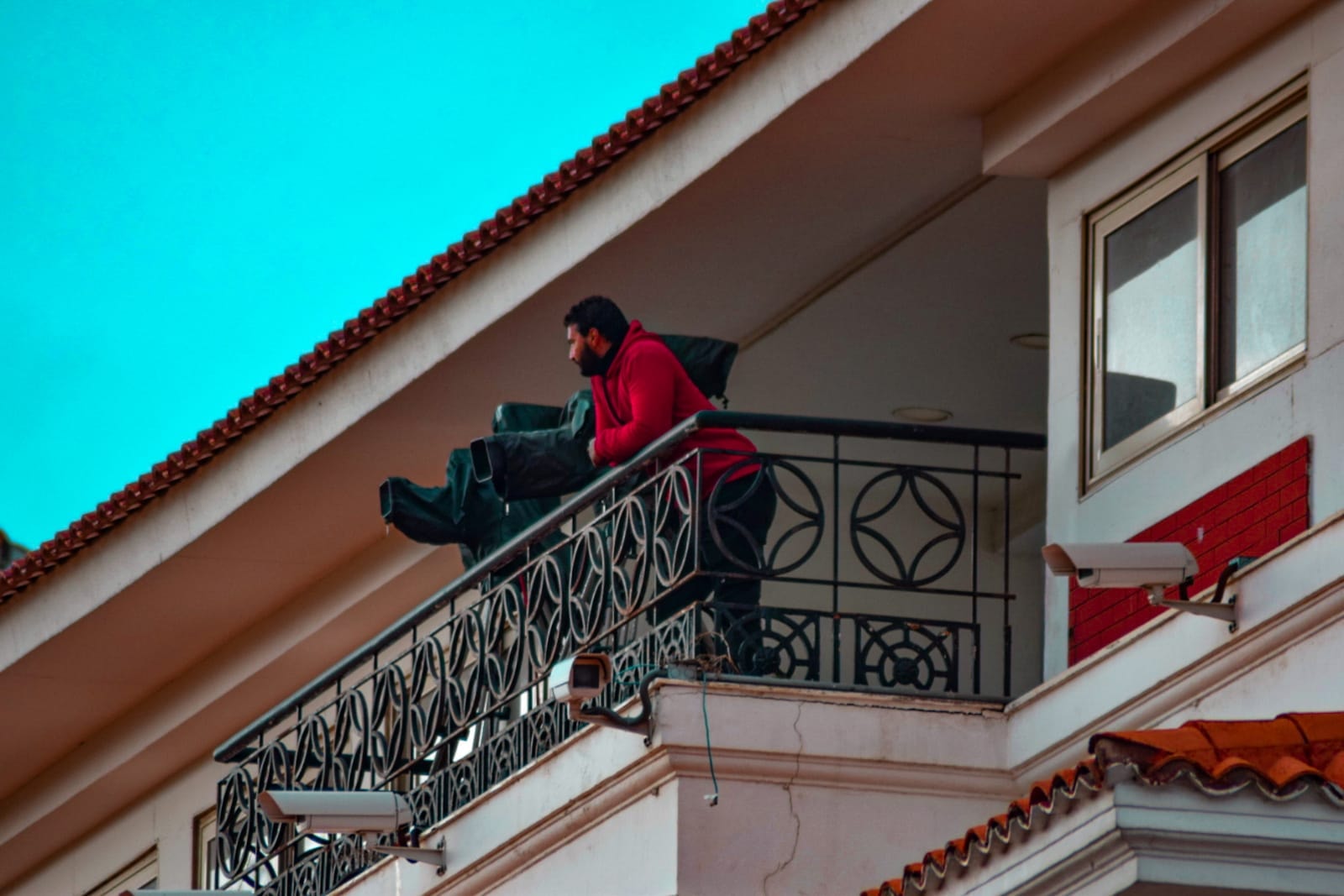 استاد الإسكندرية