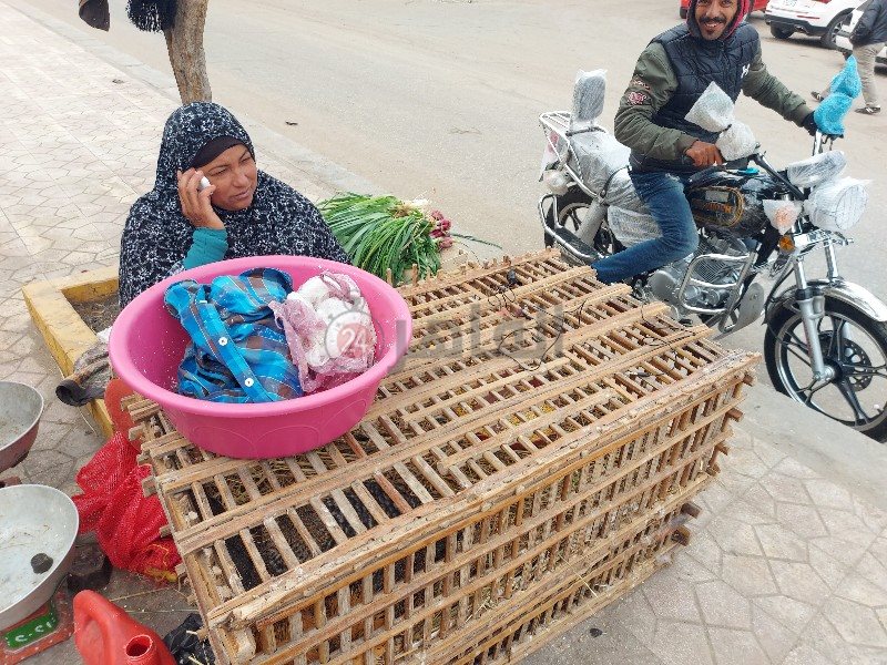 سيدة تبيع المنتجات الفلاحي تحت الأمطار ببورسعيد 4