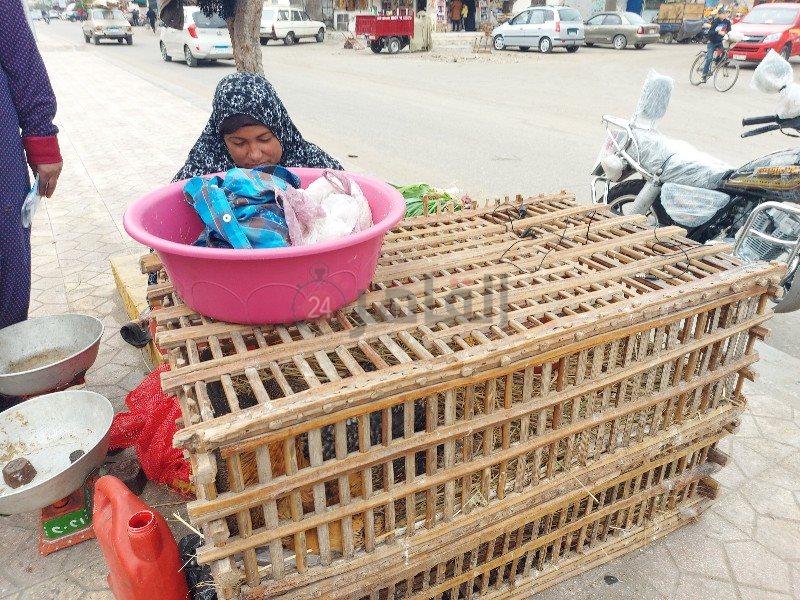 سيدة تبيع المنتجات الفلاحي تحت الأمطار ببورسعيد 2