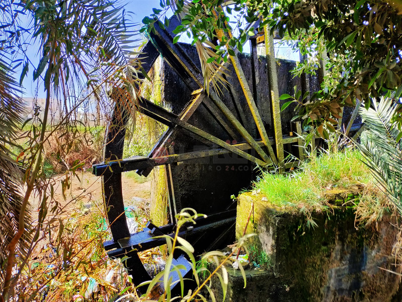 ساقية البسيونية