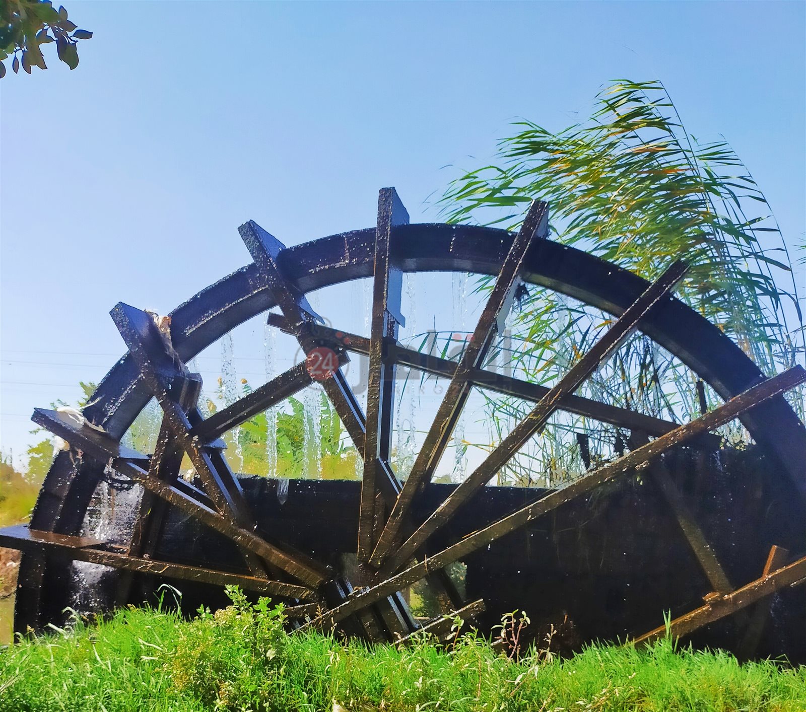 ساقية البسيونية