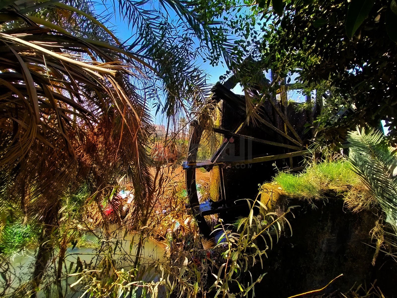 ساقية البسيونية