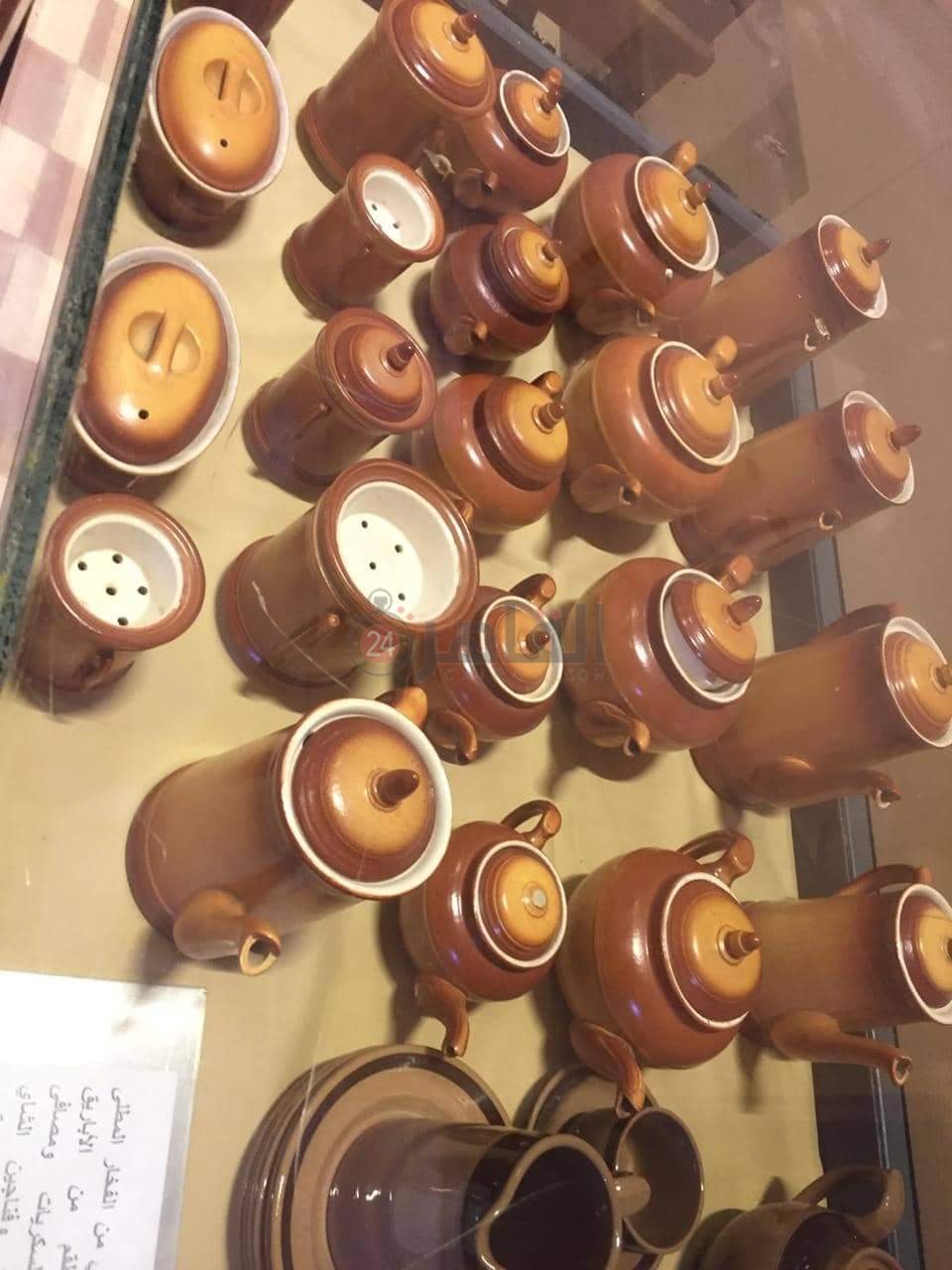 قصر الأمير يوسف كمال بـ الأقصر (2)