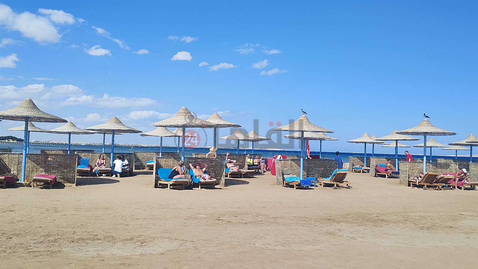 IMG20211121123101_01