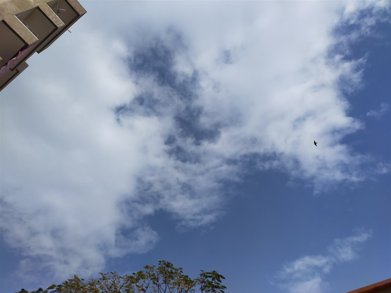 طقس الفيوم اليوم