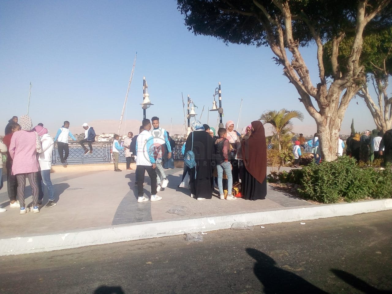 انطلاق ماراثون المشروع الوطني للقراءة في الأقصر 