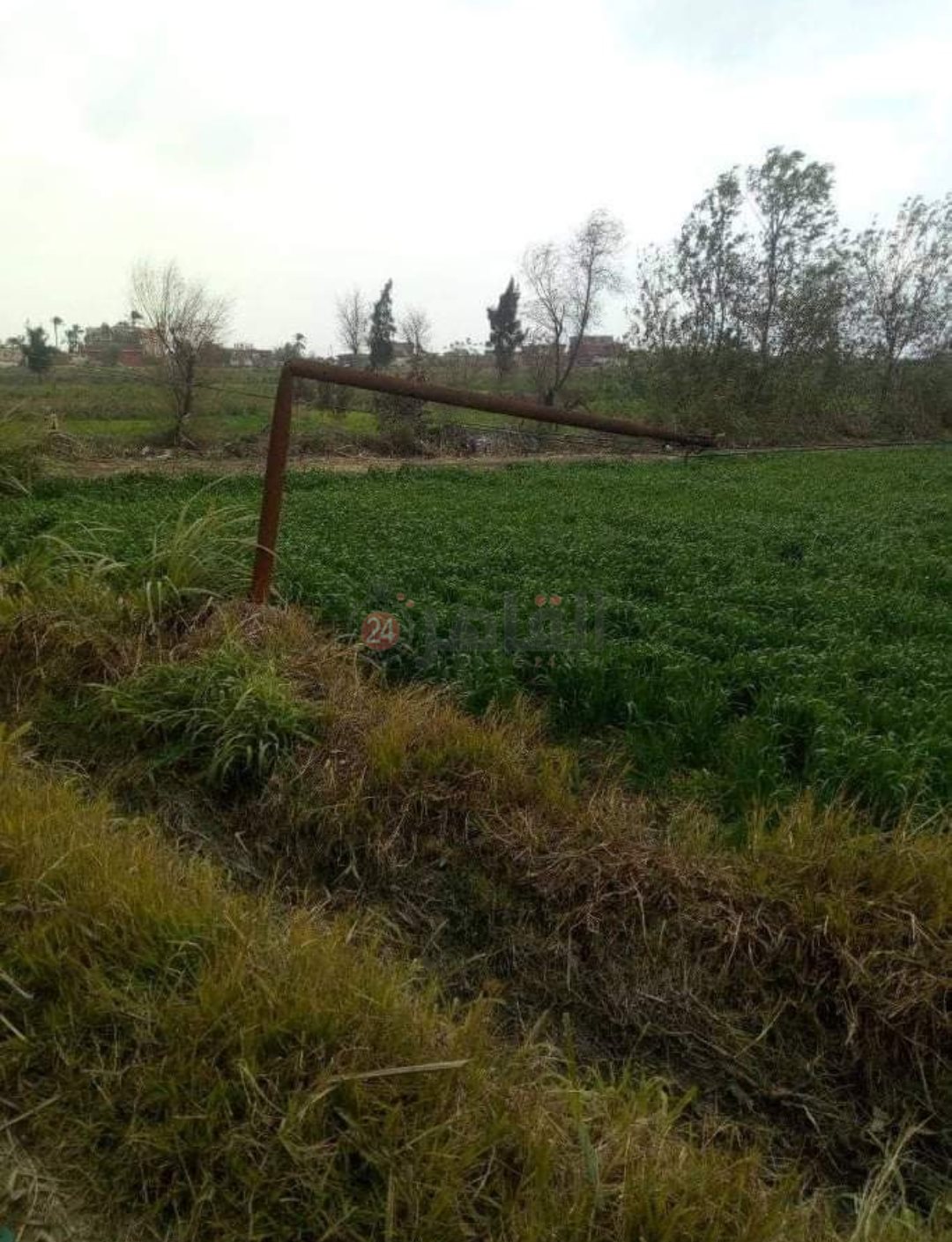 تهالك أعمدة الكهرباء في قرية بحر البقر2