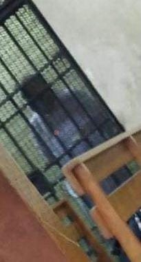 احد المتهمين في قضية رشوة وزارة الصحة