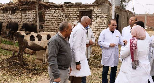 حملات لتحصين الماشية بالشرقية 01