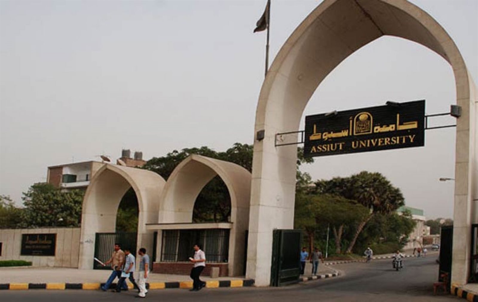جامعة اسيوط