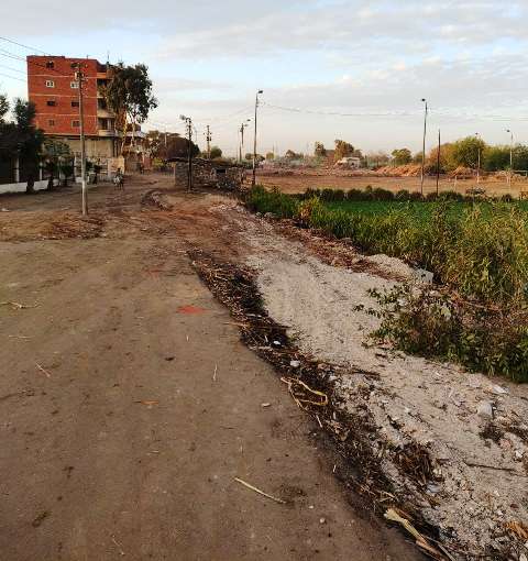 نقل سوق الطاهرة بالشرقية 02