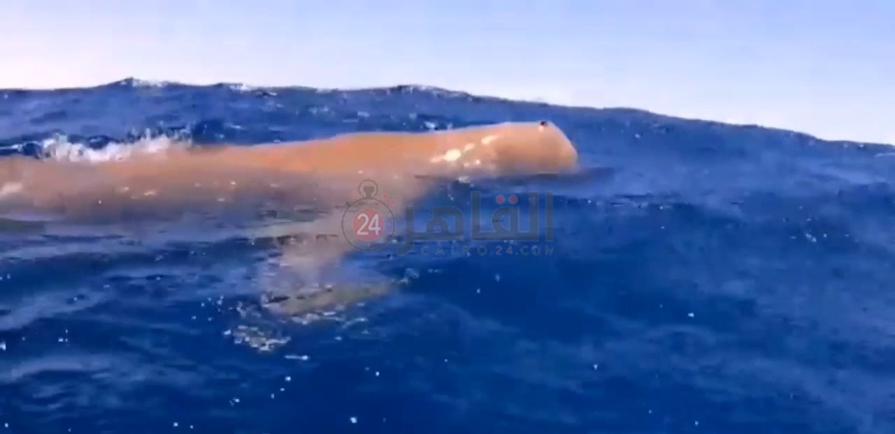 IMG_٢٠٢٢٠٢٠٨_٠٩٤١٠٨٠٢