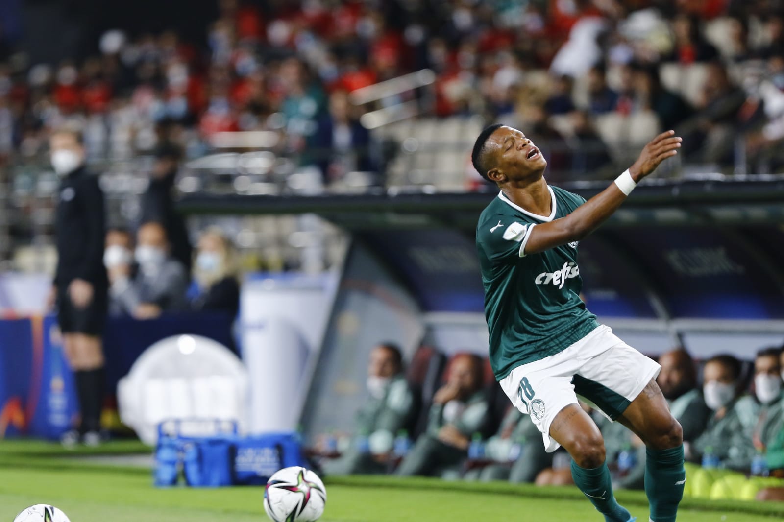 31a6a8cb-a038-4db8-9128-aa13ffd8d24d