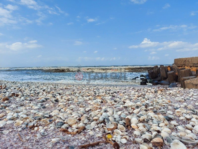 شاطئ البحر المتوسط ببورسعيد 1