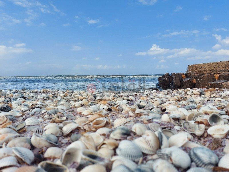 شاطئ البحر المتوسط ببورسعيد 