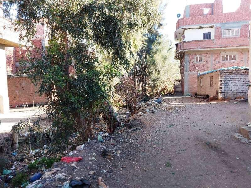 عزبة الصبان بالشرقية