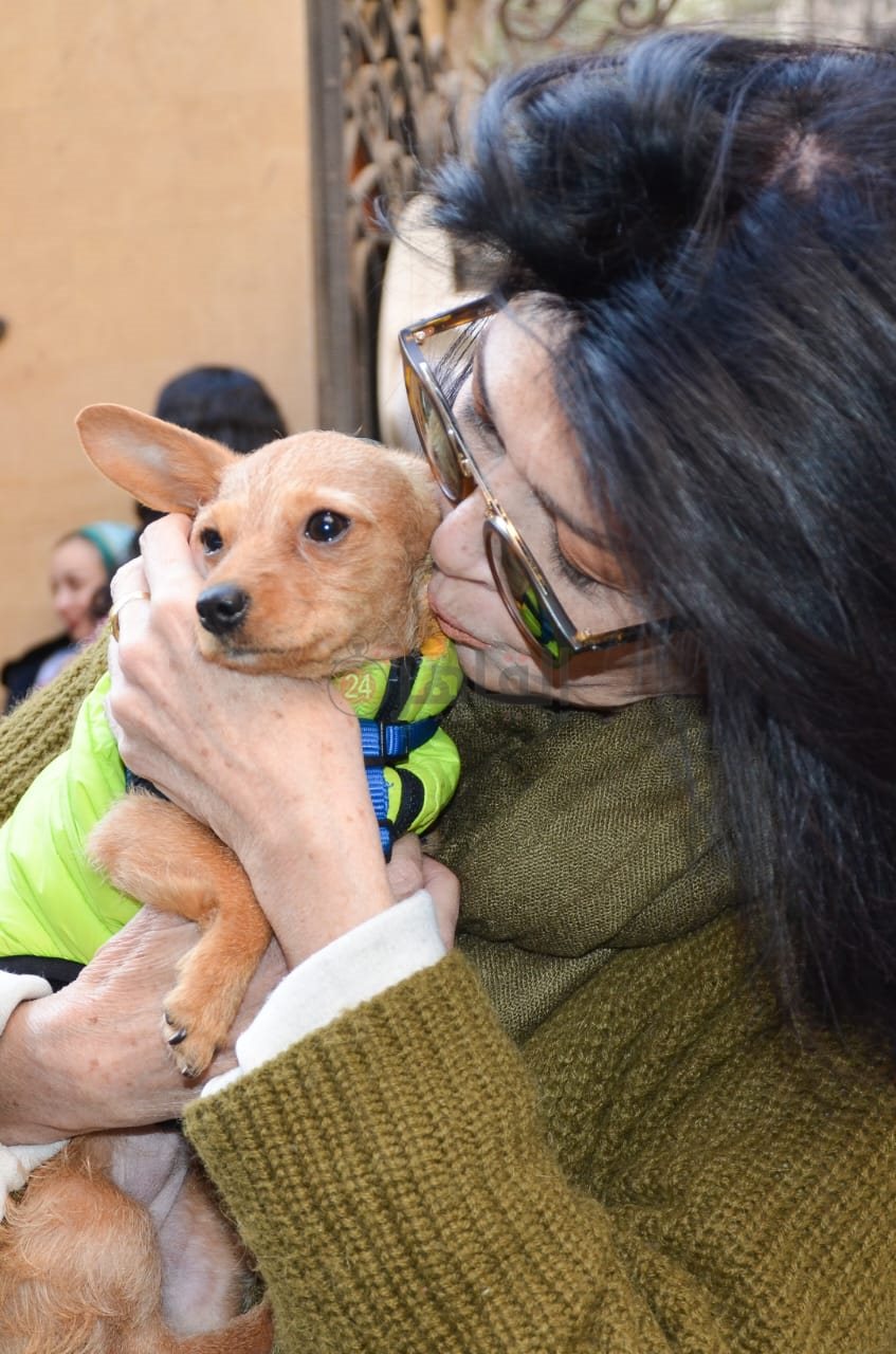 جانب من حضور المعرض