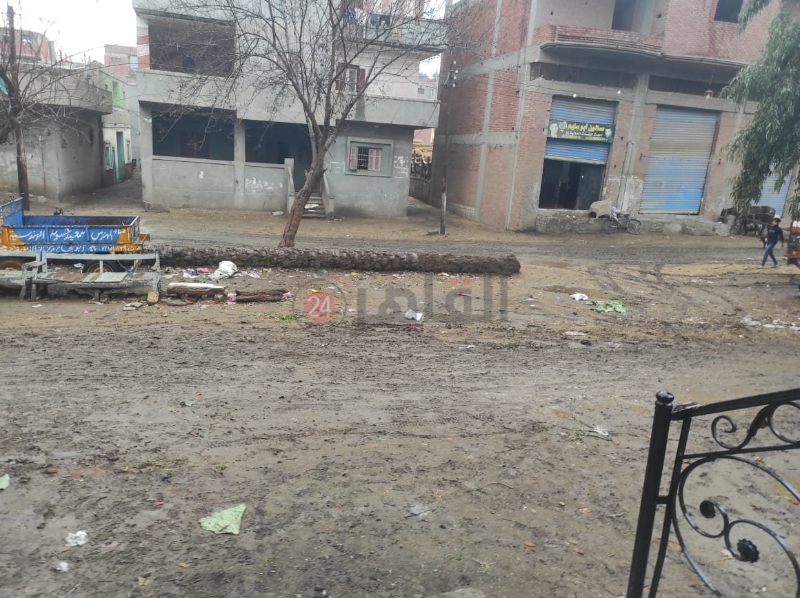 برك طينية في الشرقية