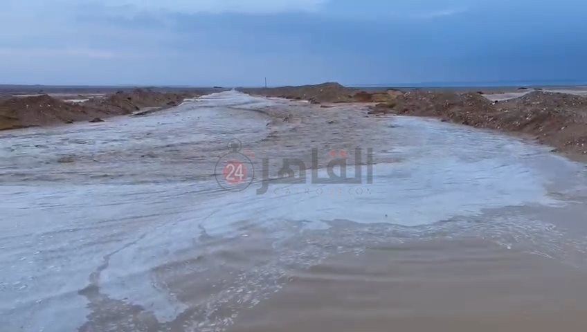 IMG_٢٠٢٢٠٢١٩_٠٨٤٢٥٠٧٢