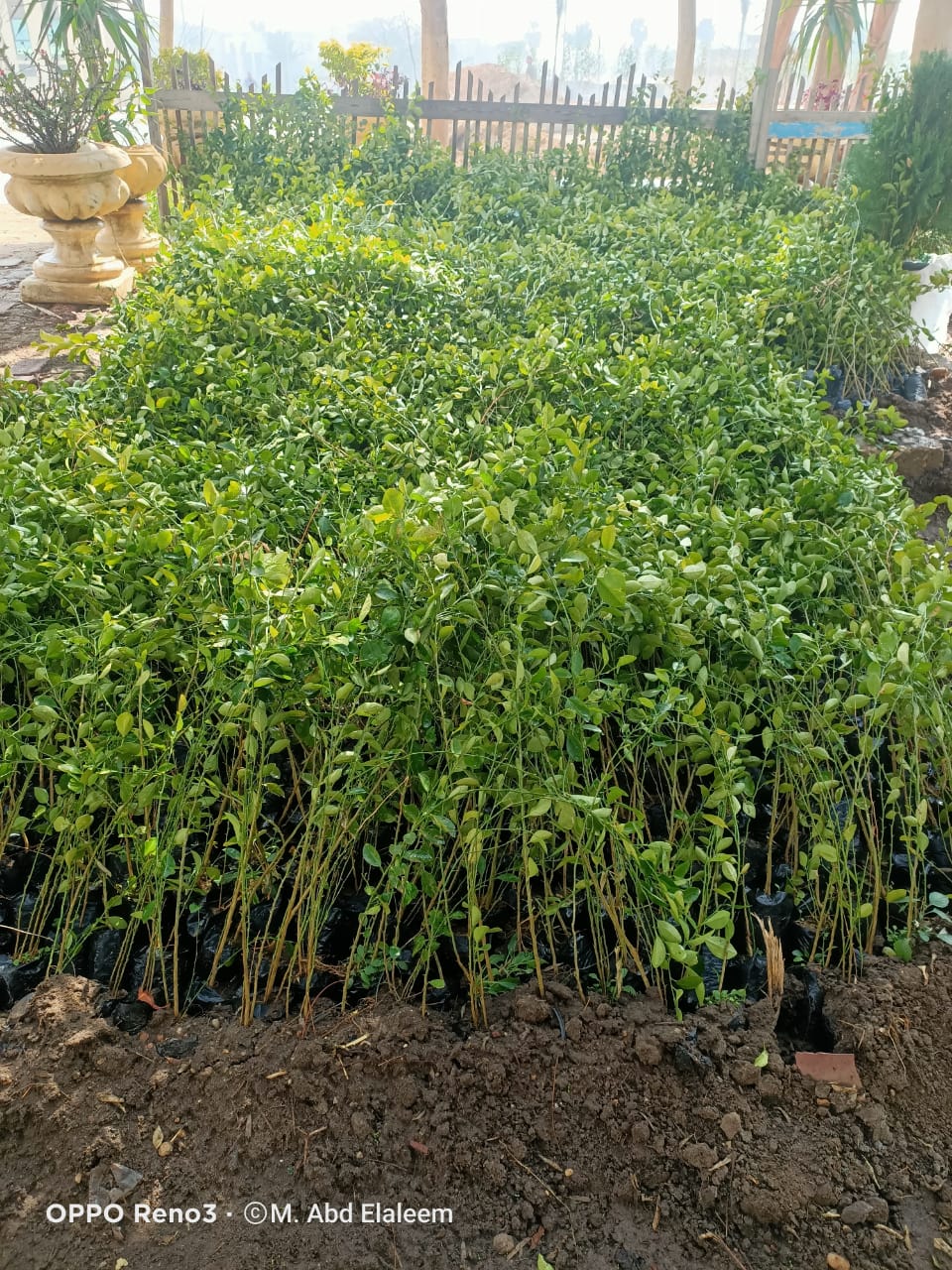 C429F402-0D1A-4326-B2D0-B54E0B84469D