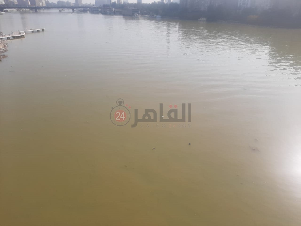 ceae3222-187c-4921-981d-a485bb63e5f3