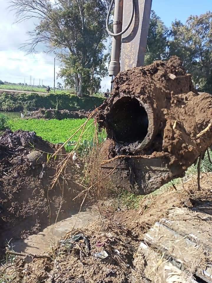 FB_IMG_1645642313044