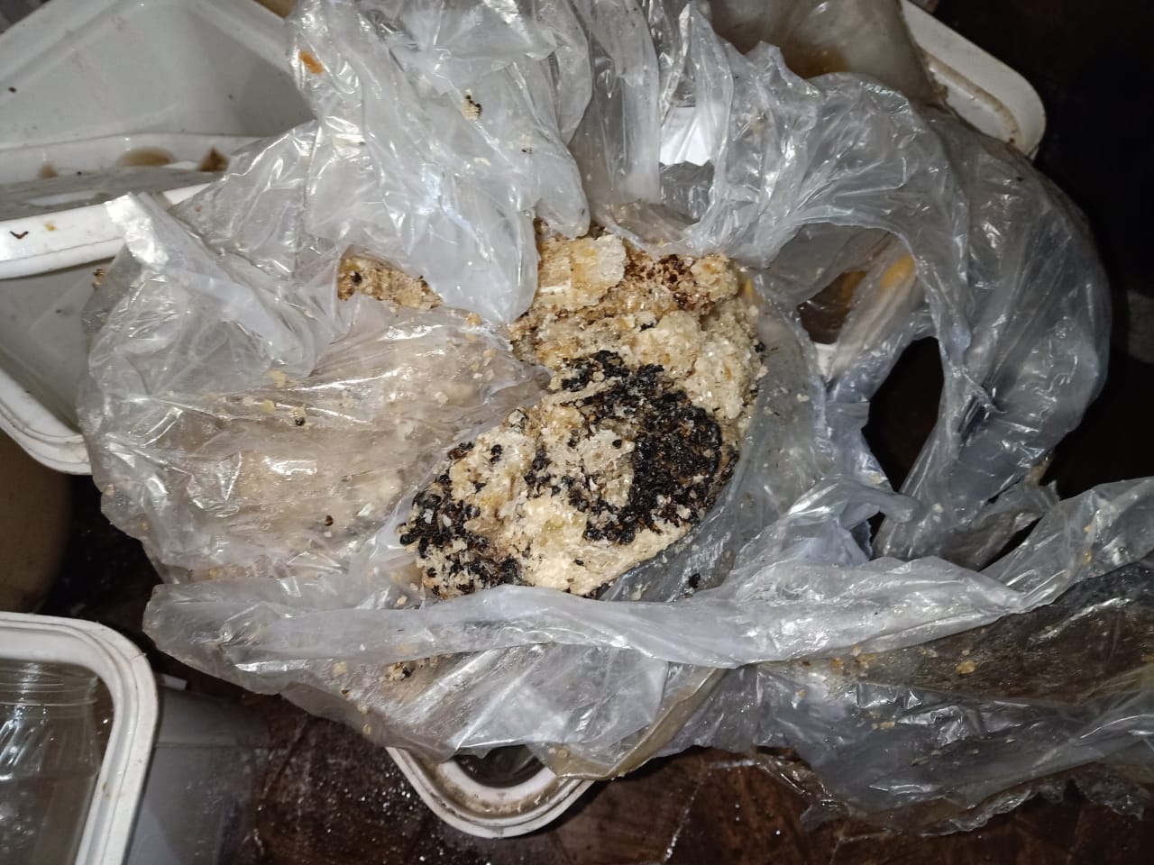 حملة على مصنع أغذية مخالف بالشرقية 4