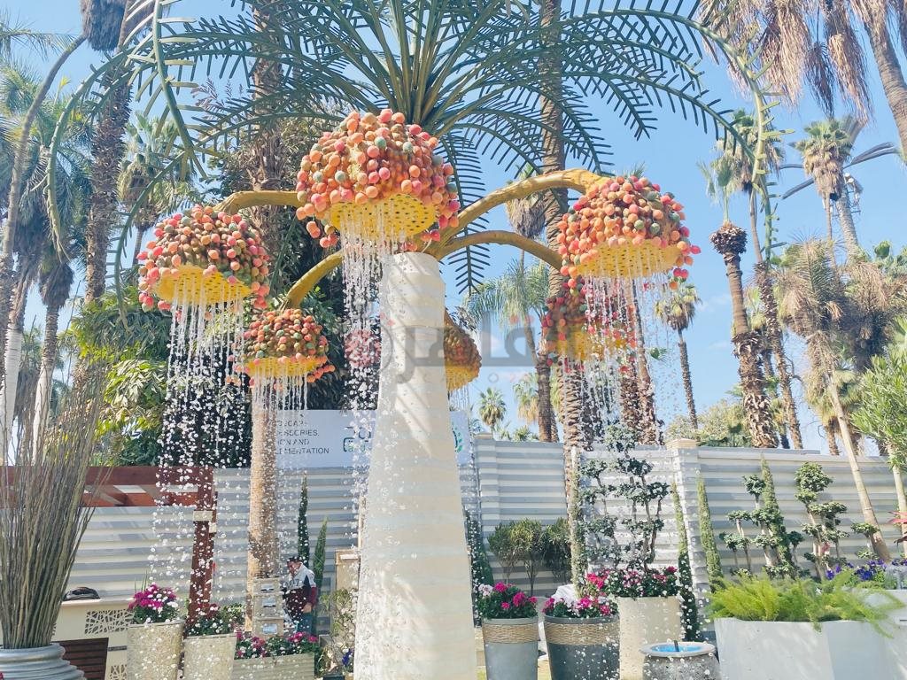 حديقة الأورمان (1)