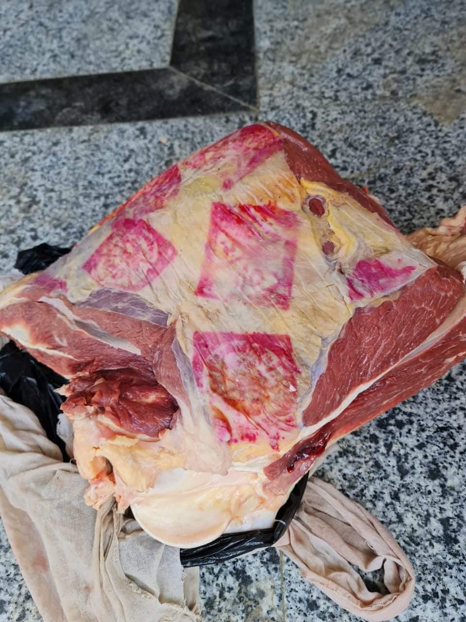 حملات الطب البيطري في الأقصر 