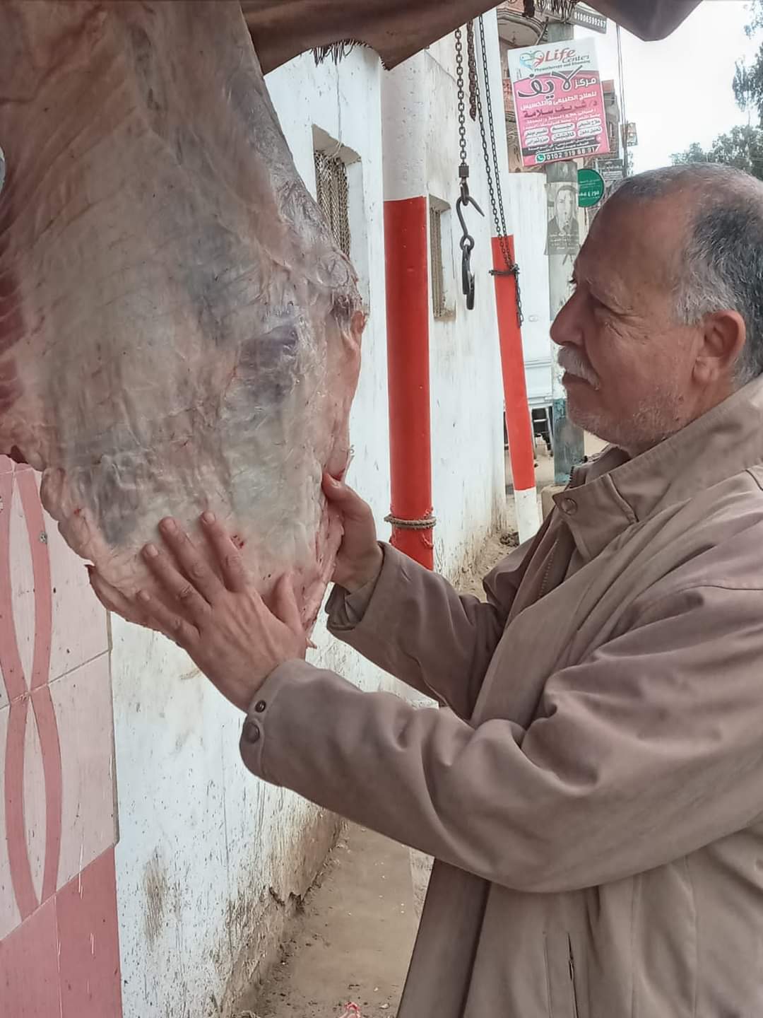 FB_IMG_1646383760324