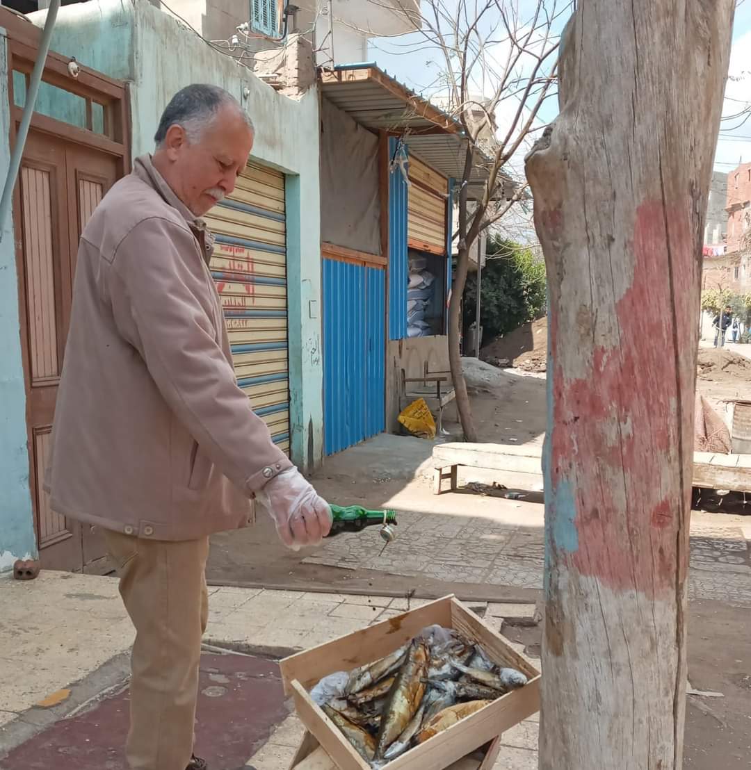 FB_IMG_1646383752972