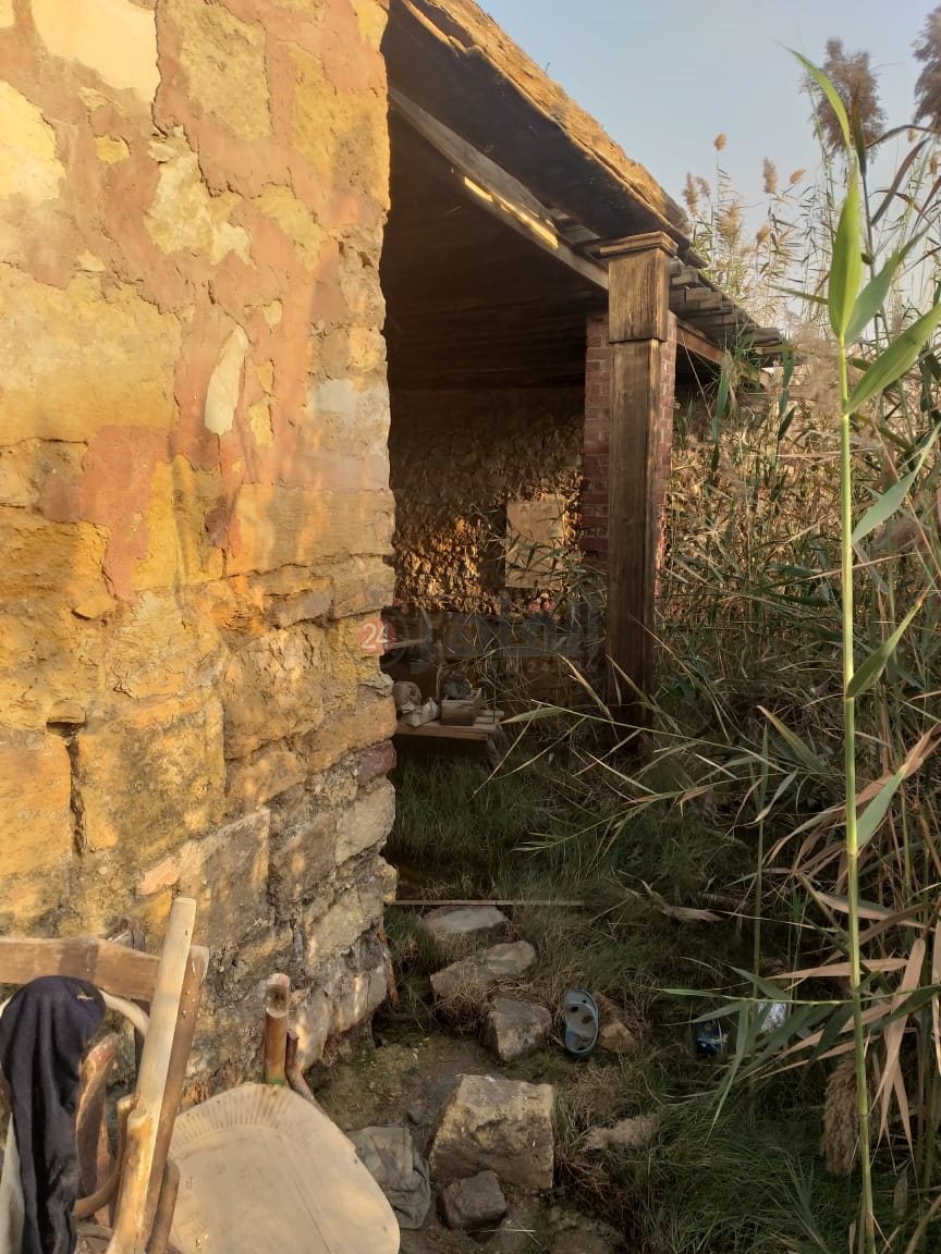 قبر رقية دودو 5