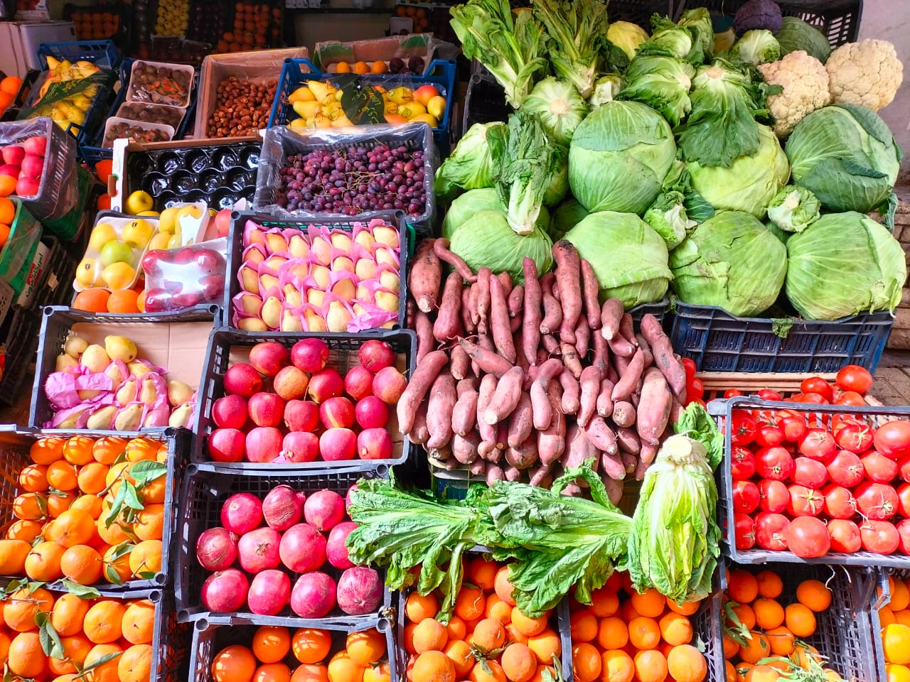 حملة تموين الإسكندرية على الأسواق