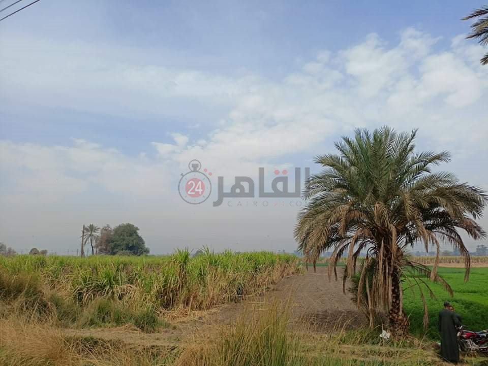 حالة الطقس في الأقصر