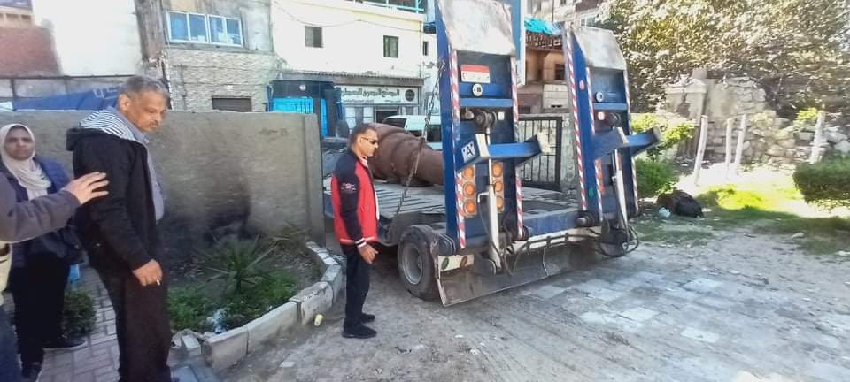 received_705097057189012