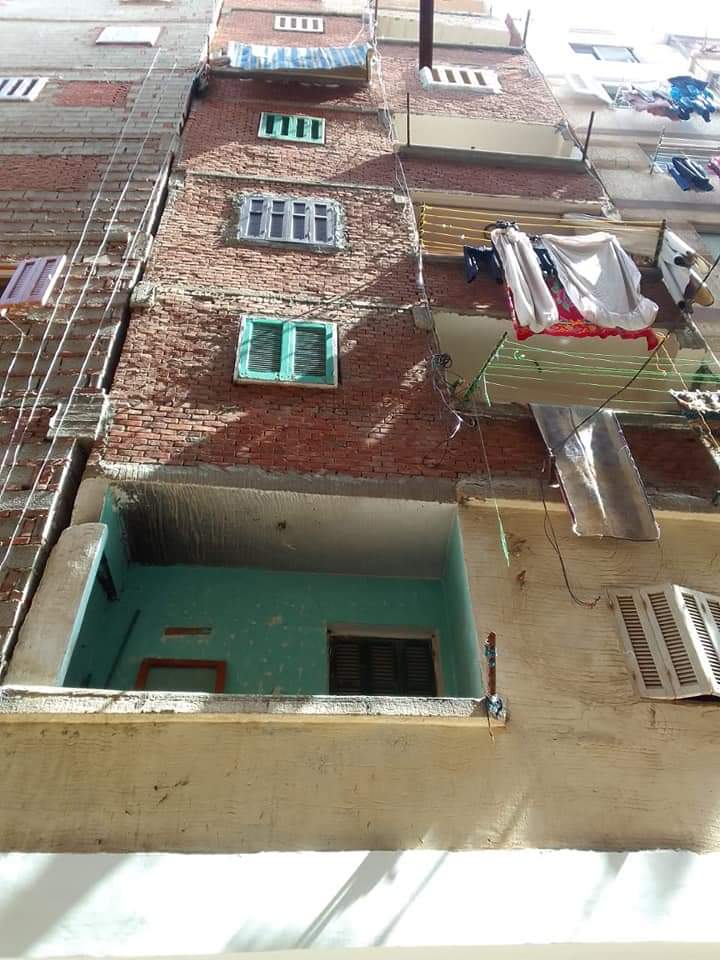 FB_IMG_1647614439708