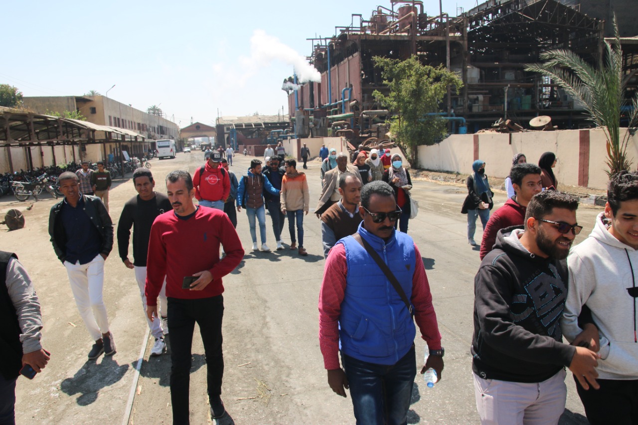 مصنع سكر القصب 2