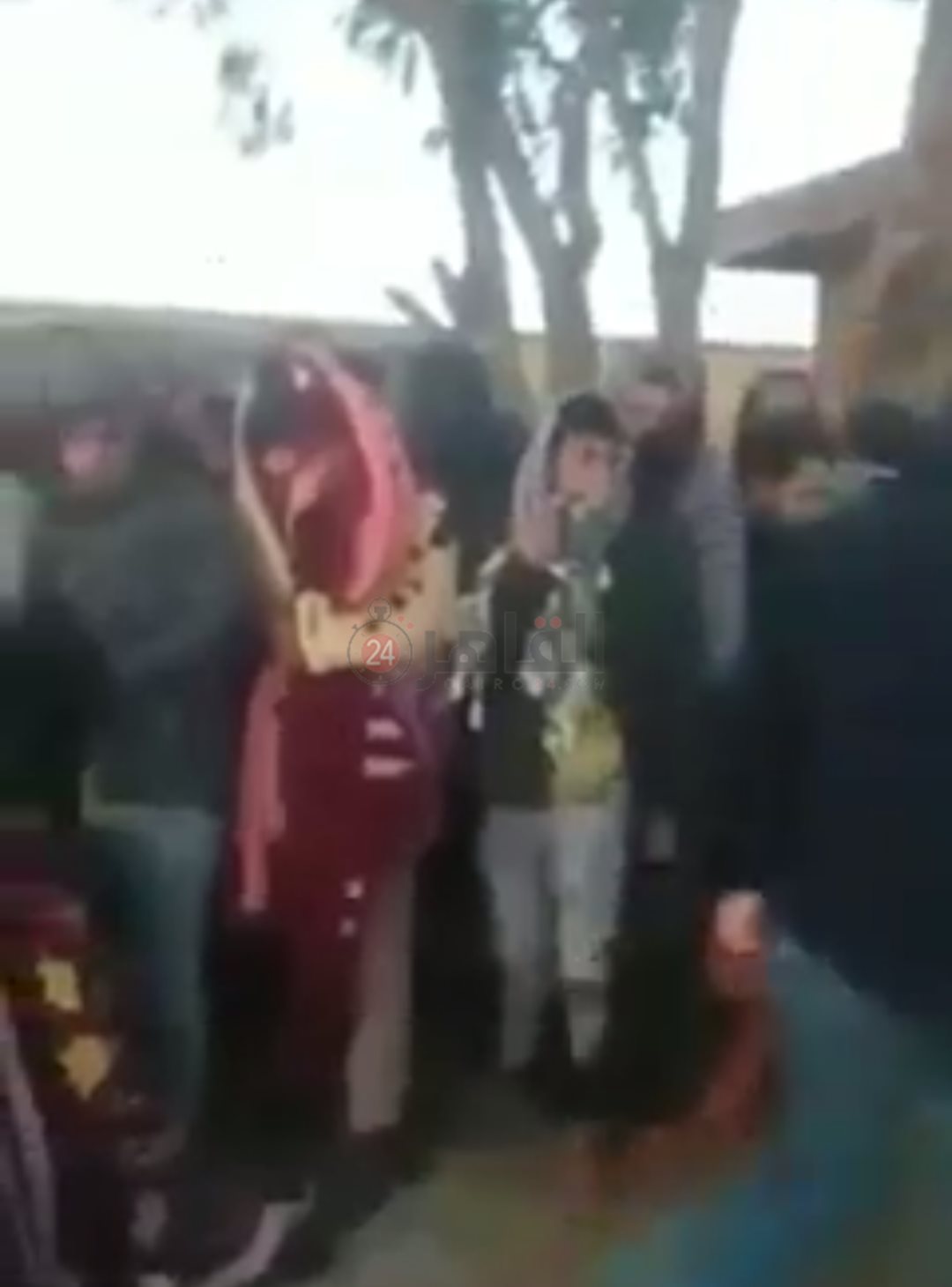 IMG_٢٠٢٢٠٣٢٧_٢٠٢٣١٢