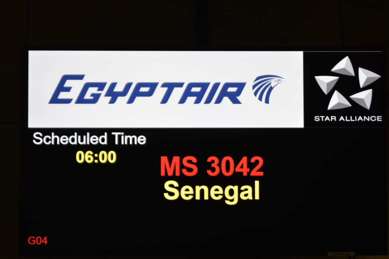 مشجعي منتخب مصر (9)