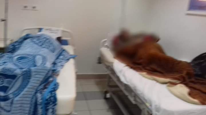 FB_IMG_1648800061256