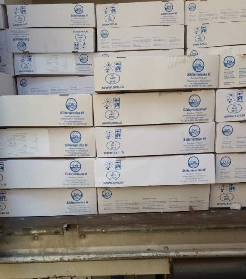 الأسماك المضبوطة 02