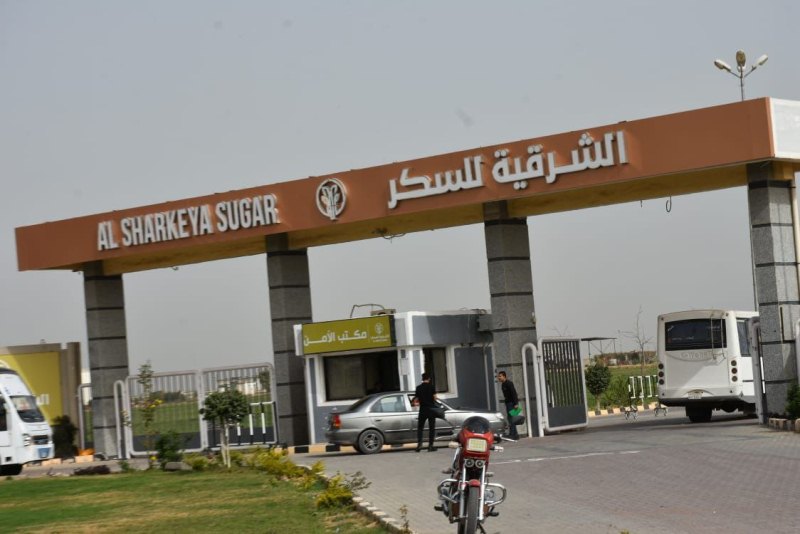 شركة الشرقية للسكر في الصالحية الجديدة