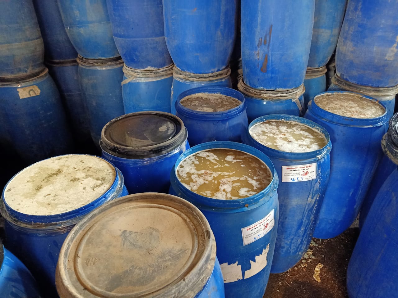 حملة تفتيشية على مصانع المخللات بالشرقية 03